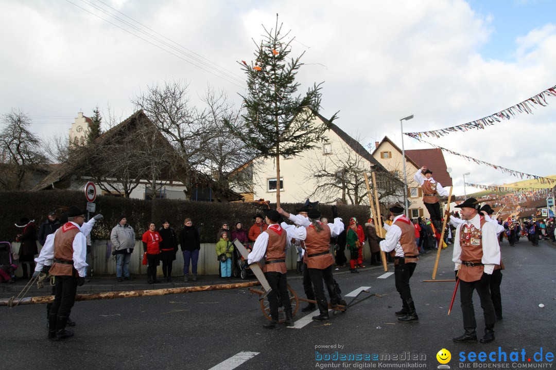 Narrentreffen - NV Kamelia: Tengen am Bodensee, 03.02.2013