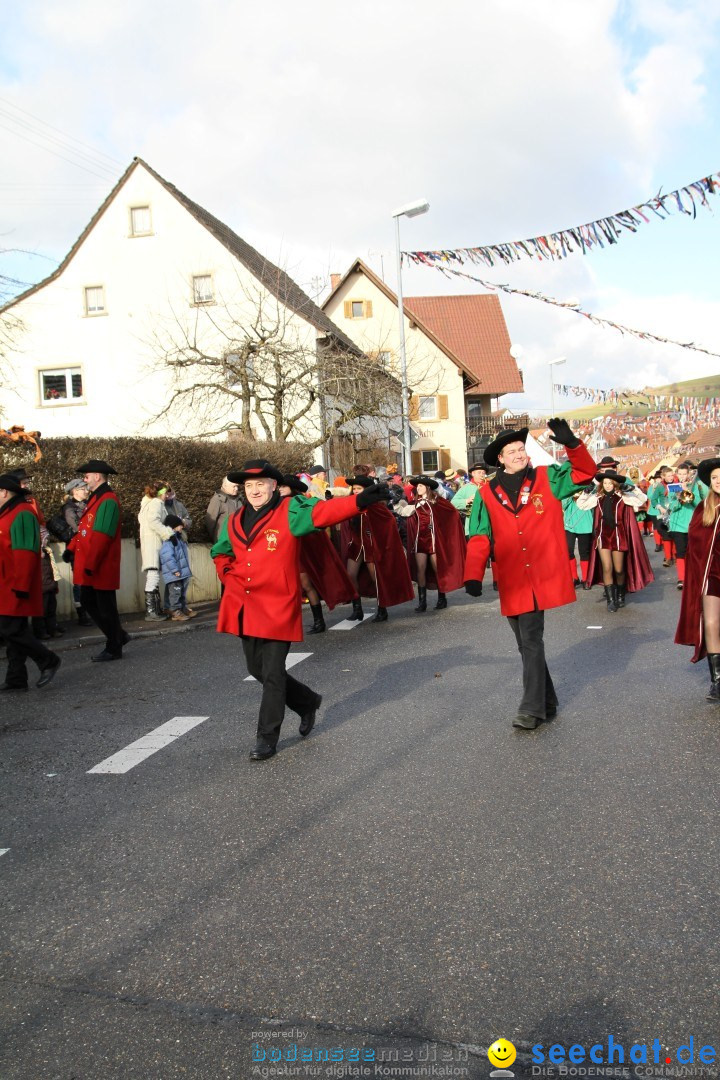 Narrentreffen - NV Kamelia: Tengen am Bodensee, 03.02.2013