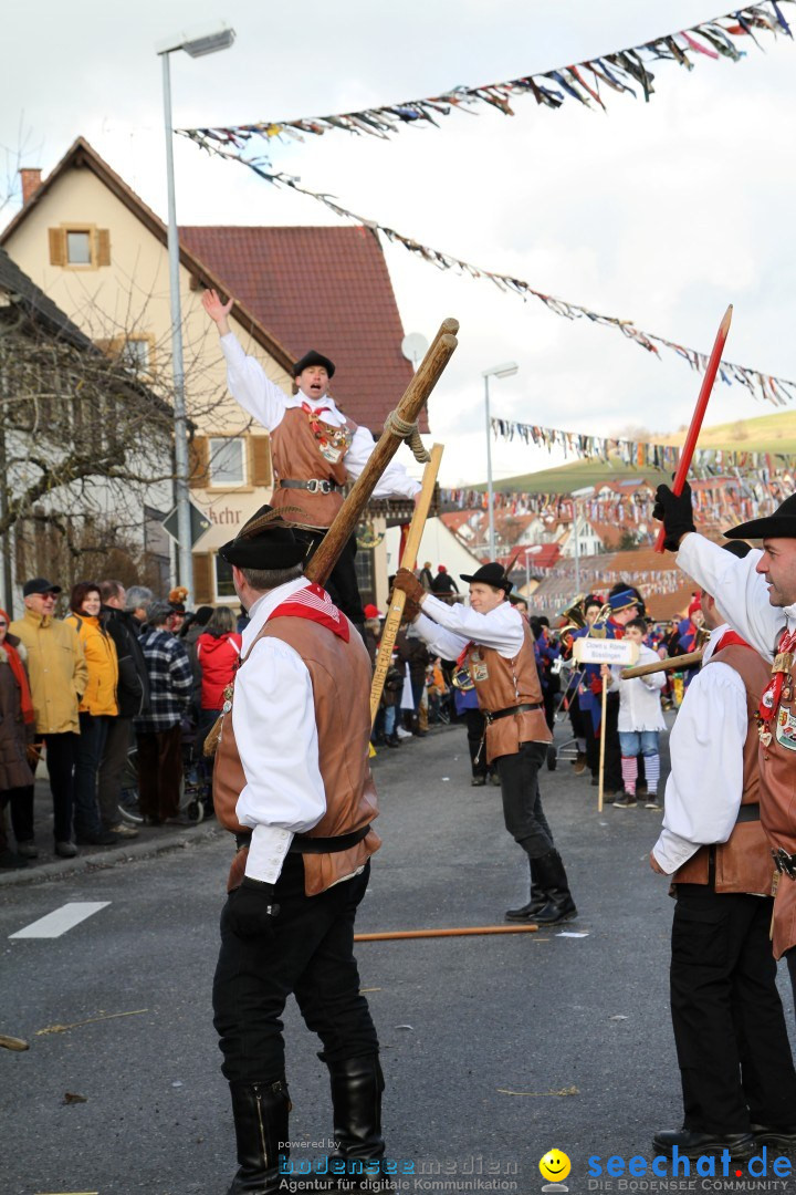 Narrentreffen - NV Kamelia: Tengen am Bodensee, 03.02.2013