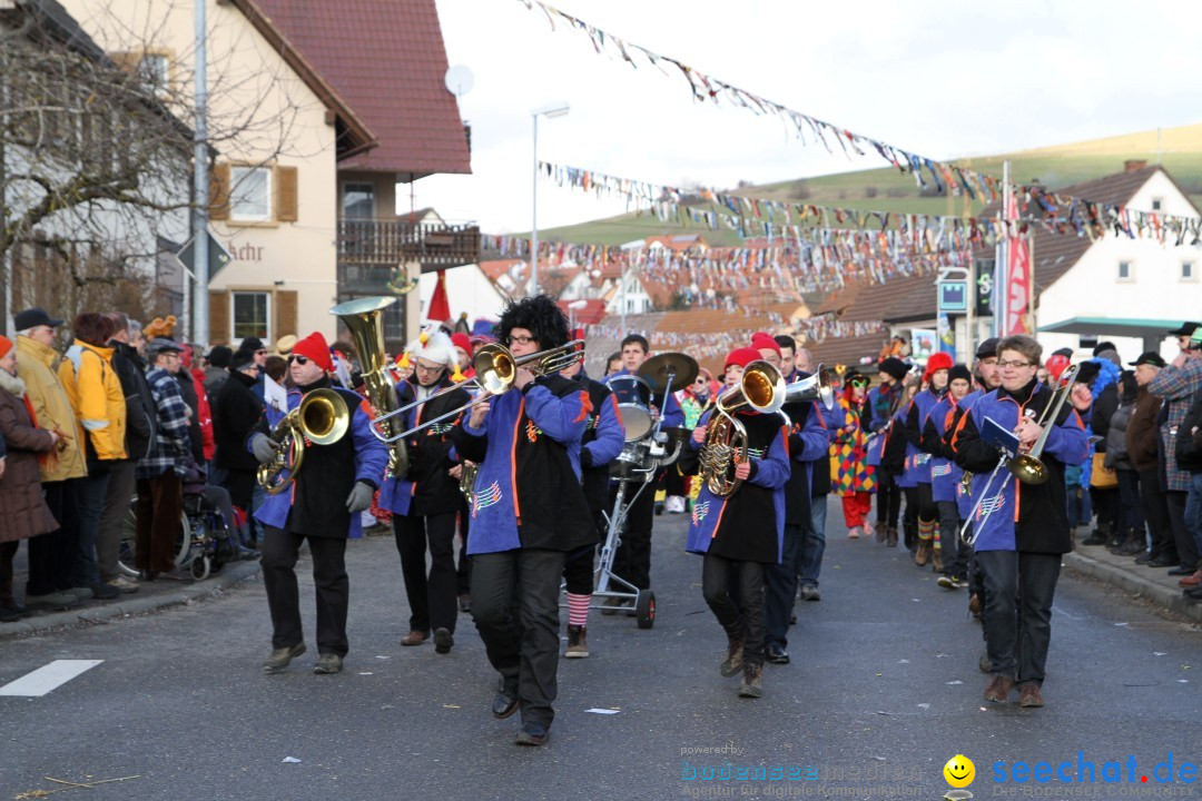 Narrentreffen - NV Kamelia: Tengen am Bodensee, 03.02.2013