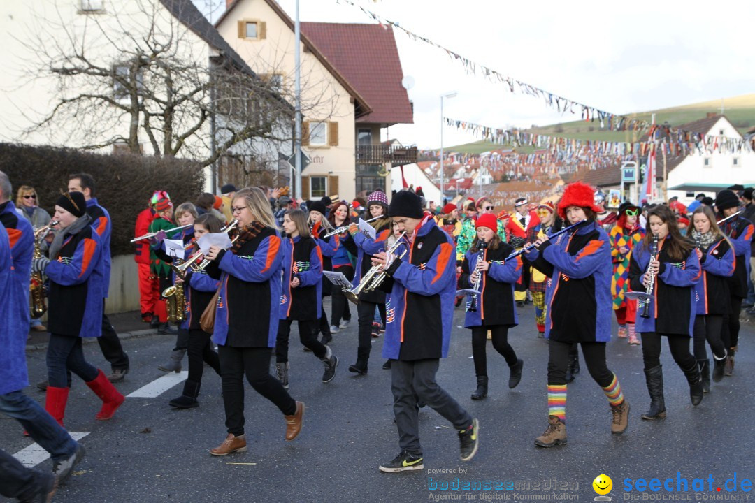 Narrentreffen - NV Kamelia: Tengen am Bodensee, 03.02.2013