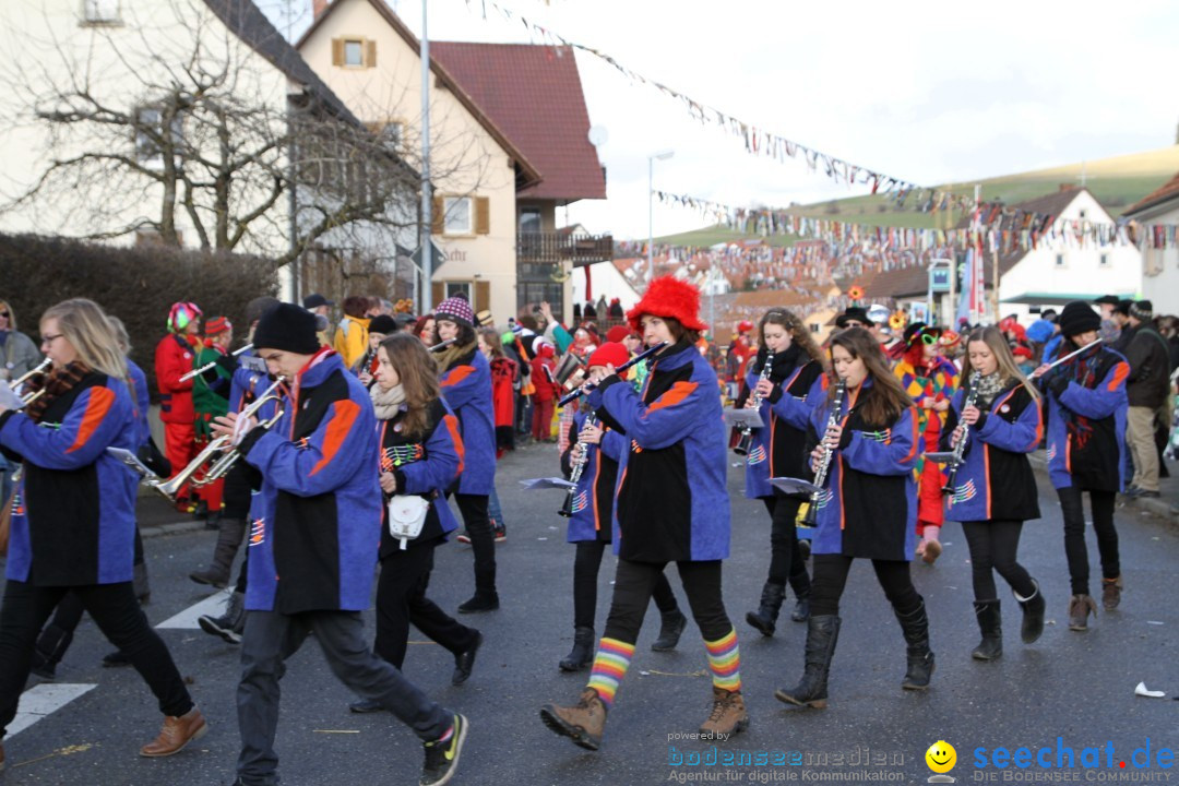 Narrentreffen - NV Kamelia: Tengen am Bodensee, 03.02.2013