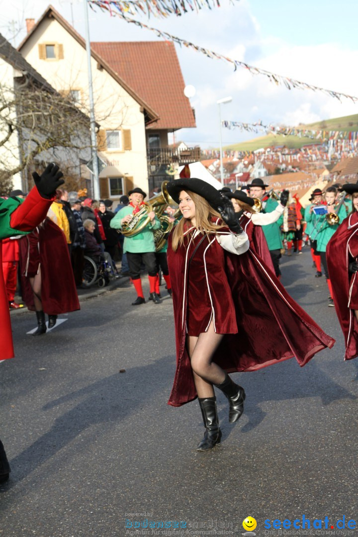 Narrentreffen - NV Kamelia: Tengen am Bodensee, 03.02.2013