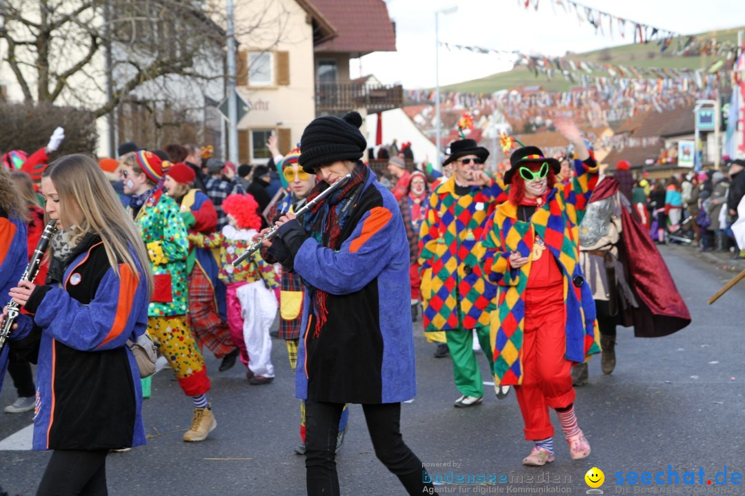 Narrentreffen - NV Kamelia: Tengen am Bodensee, 03.02.2013