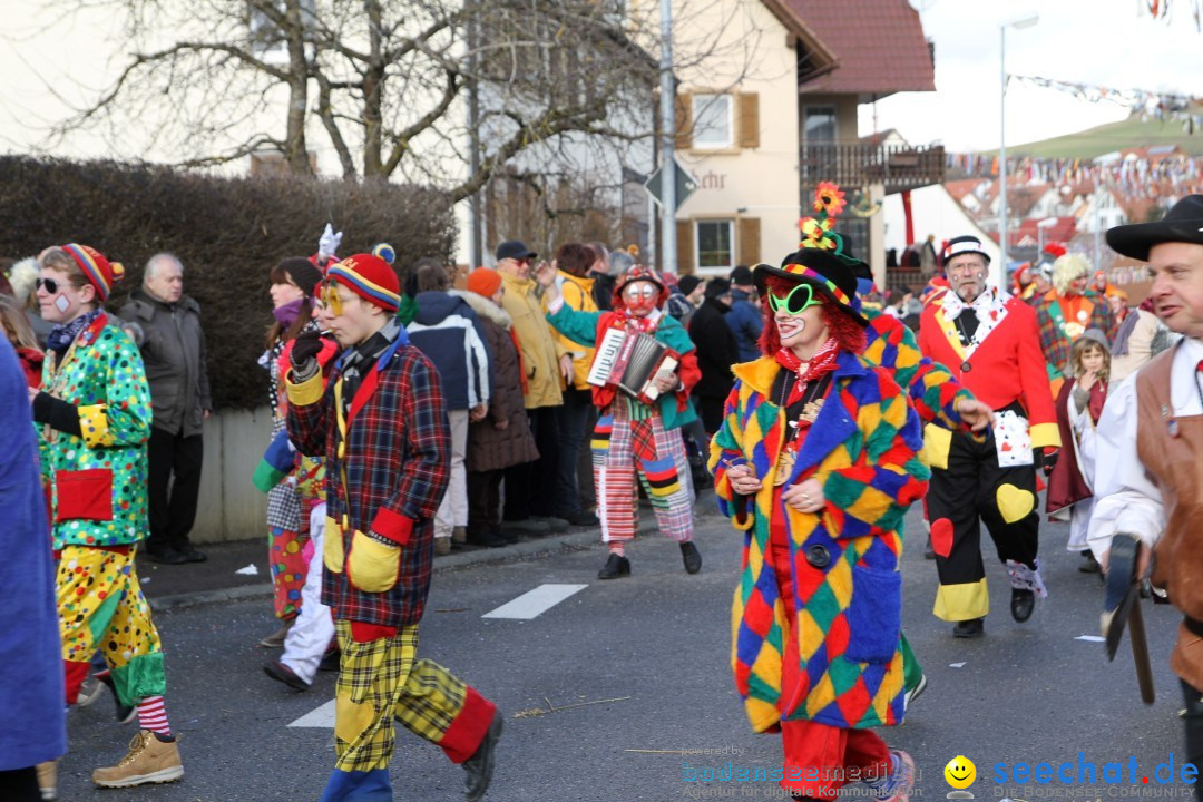 Narrentreffen - NV Kamelia: Tengen am Bodensee, 03.02.2013