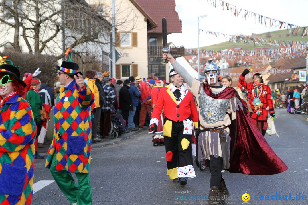 Narrentreffen - NV Kamelia: Tengen am Bodensee, 03.02.2013