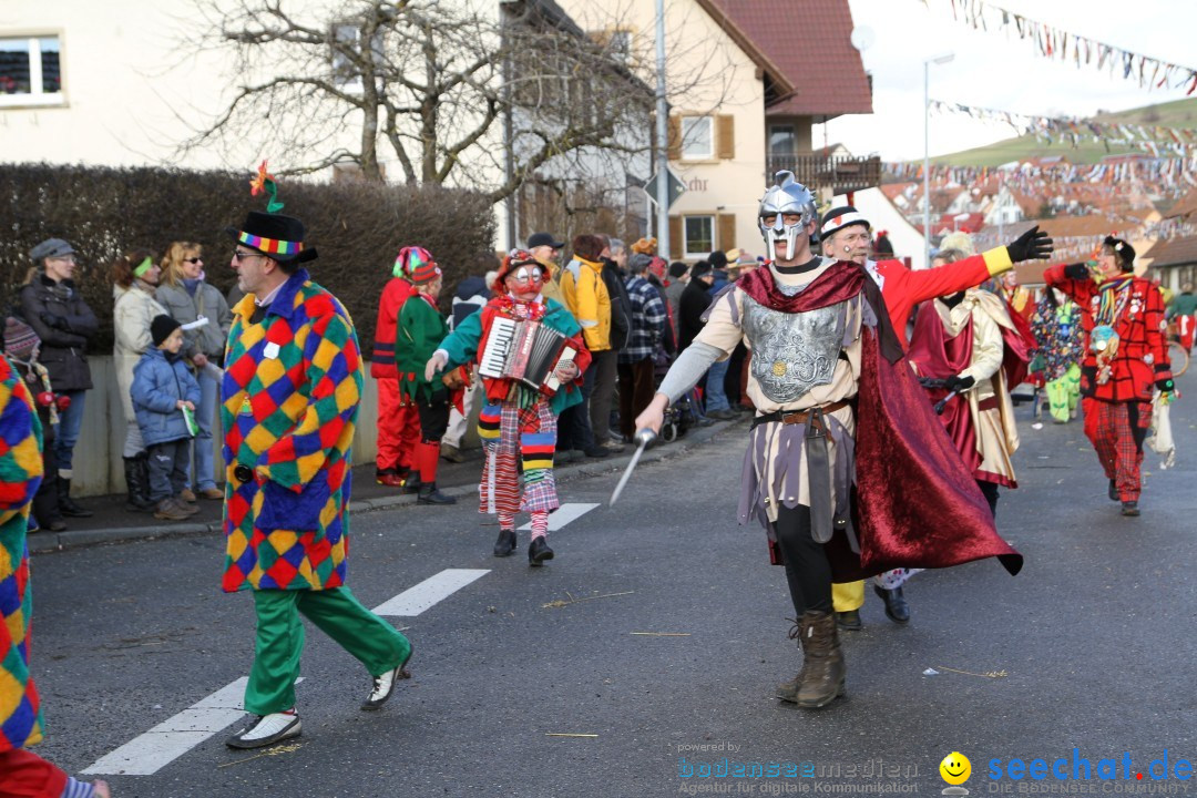 Narrentreffen - NV Kamelia: Tengen am Bodensee, 03.02.2013