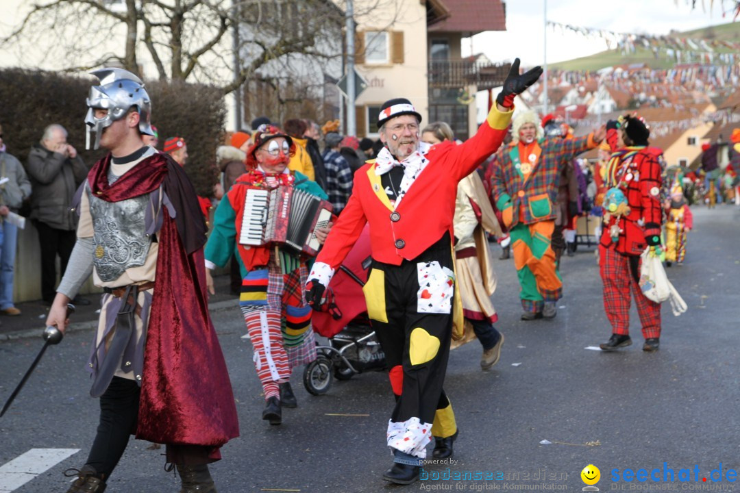 Narrentreffen - NV Kamelia: Tengen am Bodensee, 03.02.2013