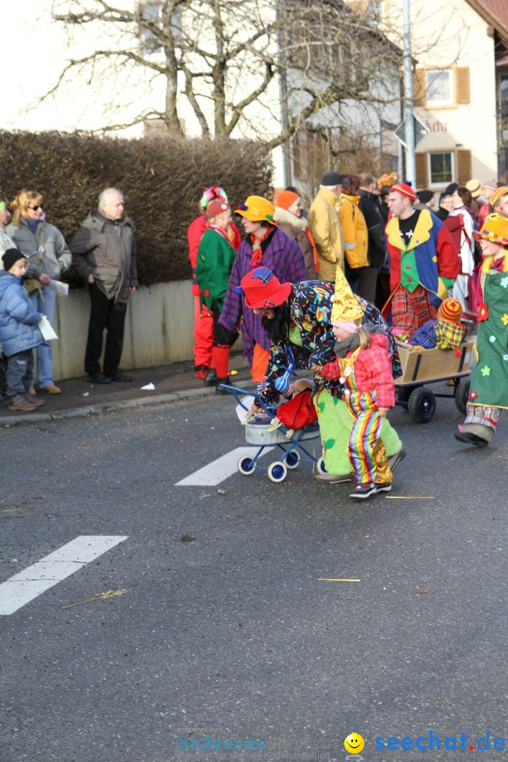 Narrentreffen - NV Kamelia: Tengen am Bodensee, 03.02.2013