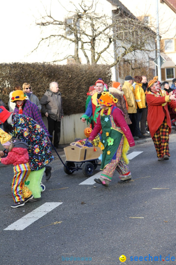 Narrentreffen - NV Kamelia: Tengen am Bodensee, 03.02.2013