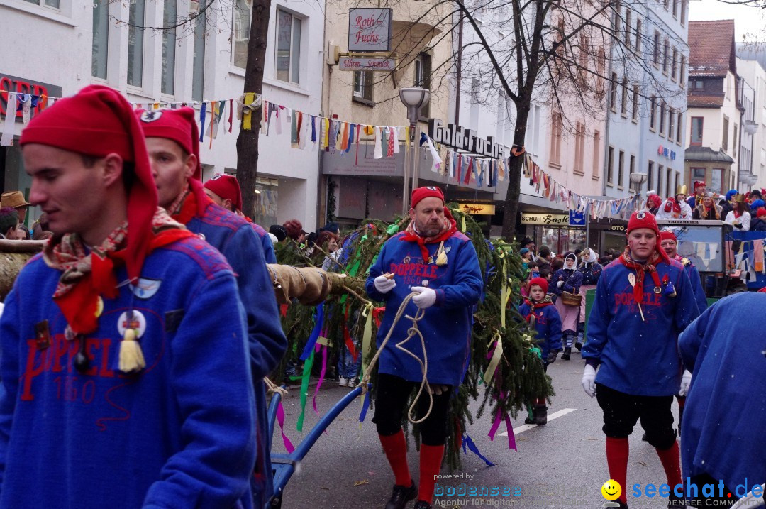 Narrenbaumumzug der Poppele-Zunft: Singen am Bodensee, 07.02.2013