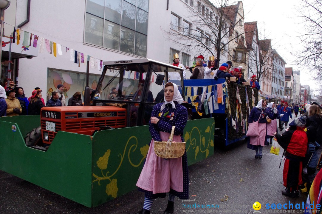 Narrenbaumumzug der Poppele-Zunft: Singen am Bodensee, 07.02.2013