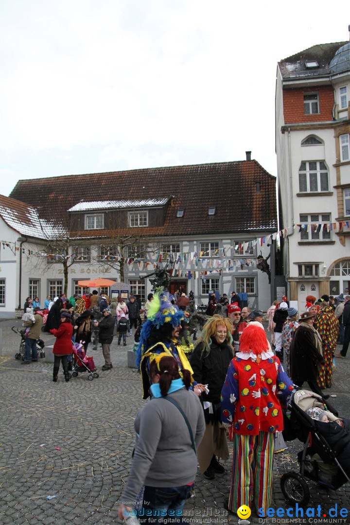 Narrenbaumumzug der Poppele-Zunft: Singen am Bodensee, 07.02.2013