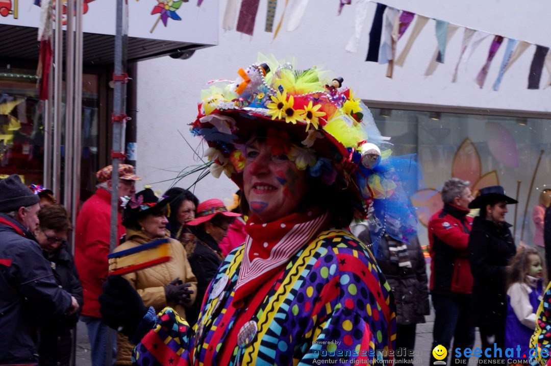 Narrenbaumumzug der Poppele-Zunft: Singen am Bodensee, 07.02.2013