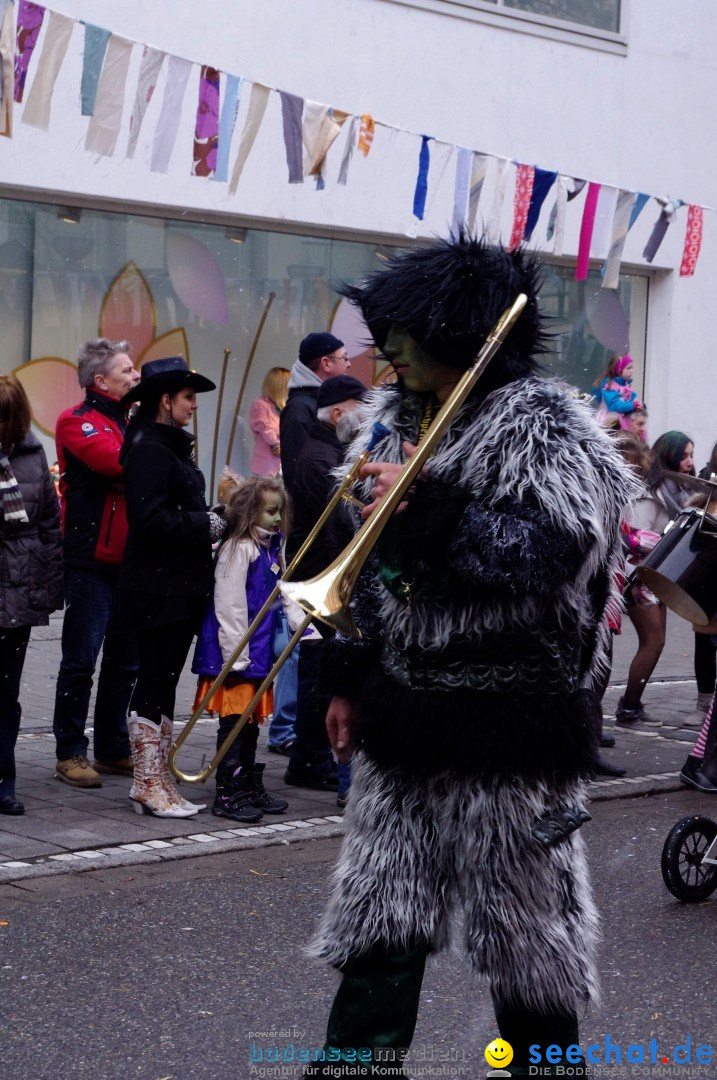 Narrenbaumumzug der Poppele-Zunft: Singen am Bodensee, 07.02.2013