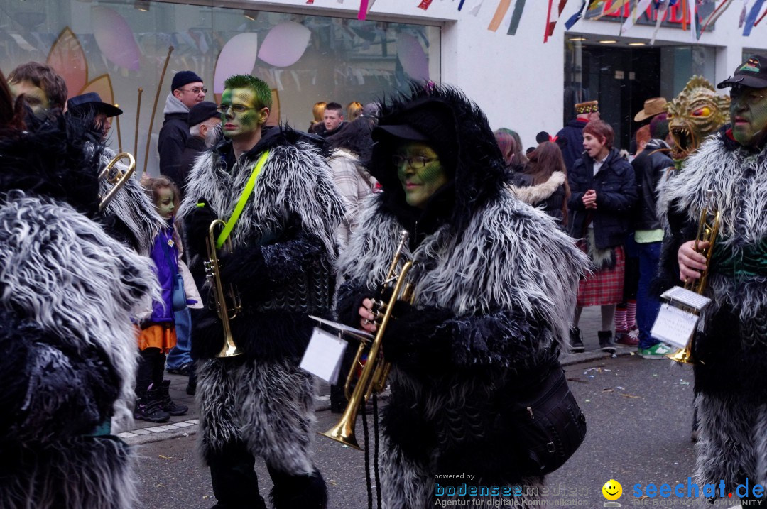 Narrenbaumumzug der Poppele-Zunft: Singen am Bodensee, 07.02.2013