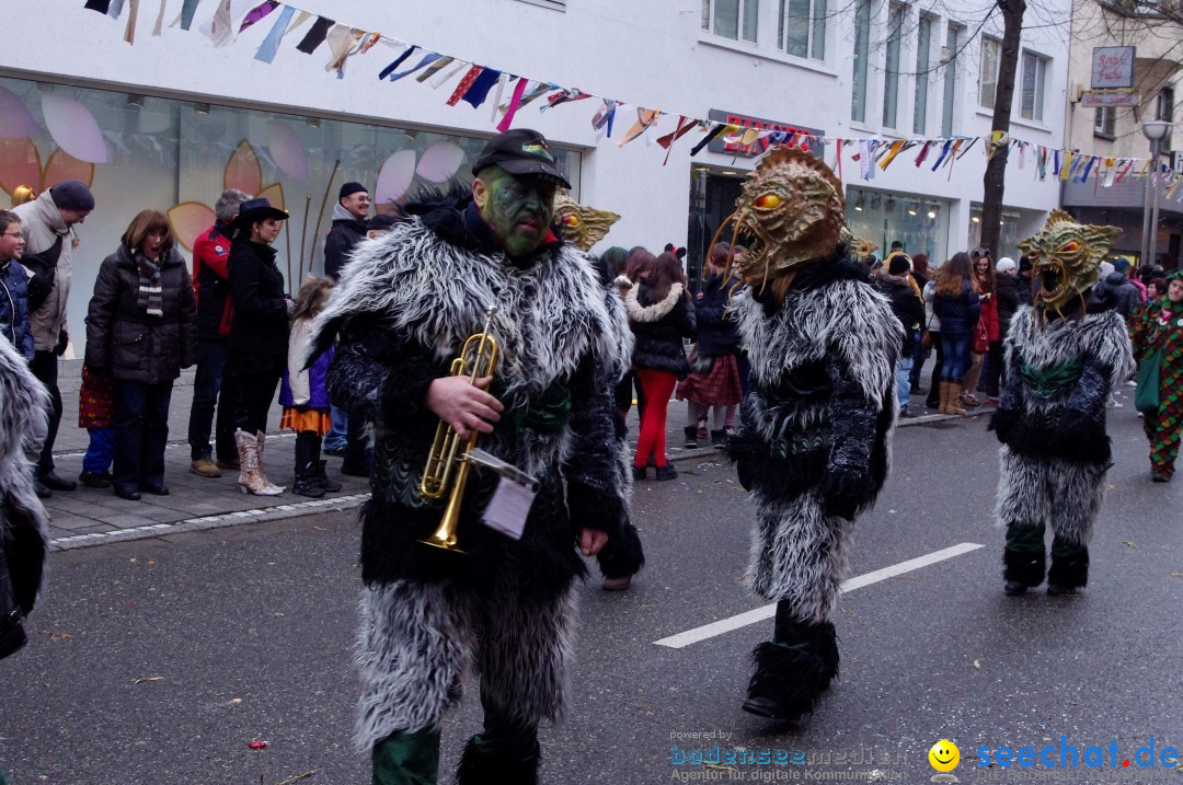 Narrenbaumumzug der Poppele-Zunft: Singen am Bodensee, 07.02.2013