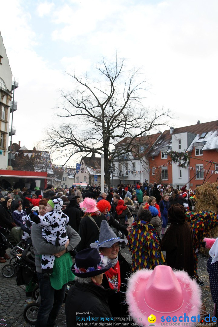 Narrenbaumumzug der Poppele-Zunft: Singen am Bodensee, 07.02.2013