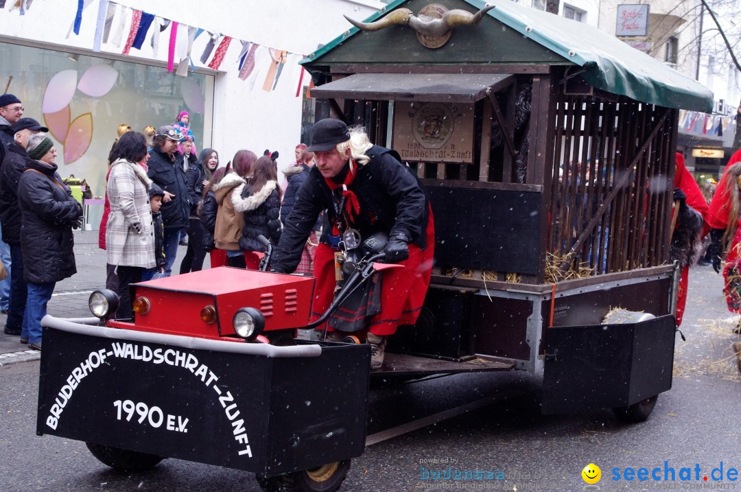 Narrenbaumumzug der Poppele-Zunft: Singen am Bodensee, 07.02.2013