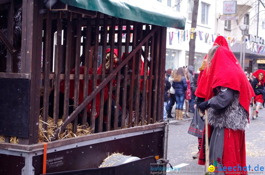 Narrenbaumumzug der Poppele-Zunft: Singen am Bodensee, 07.02.2013