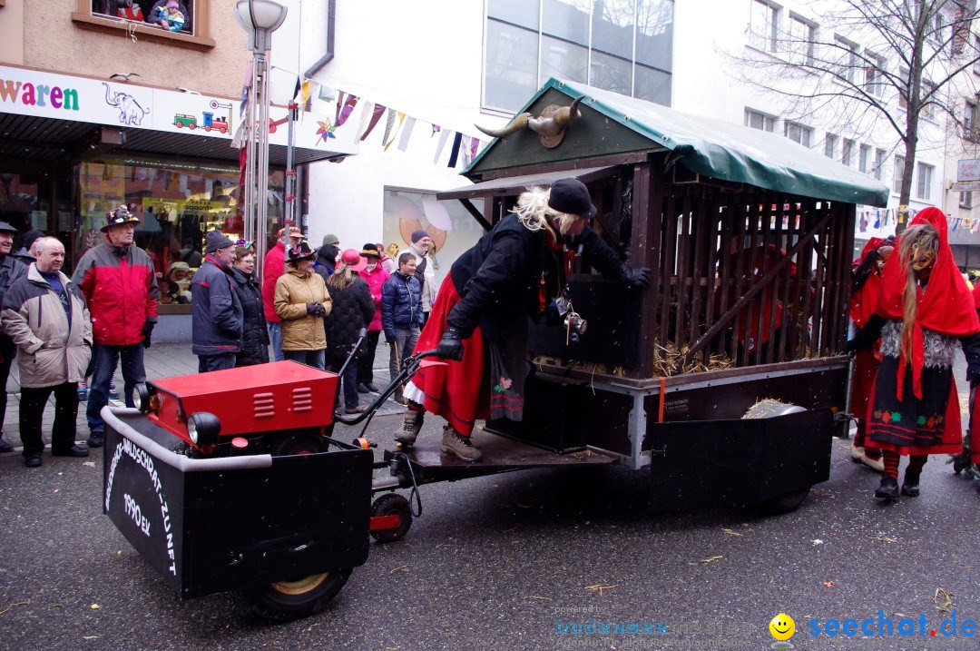 Narrenbaumumzug der Poppele-Zunft: Singen am Bodensee, 07.02.2013