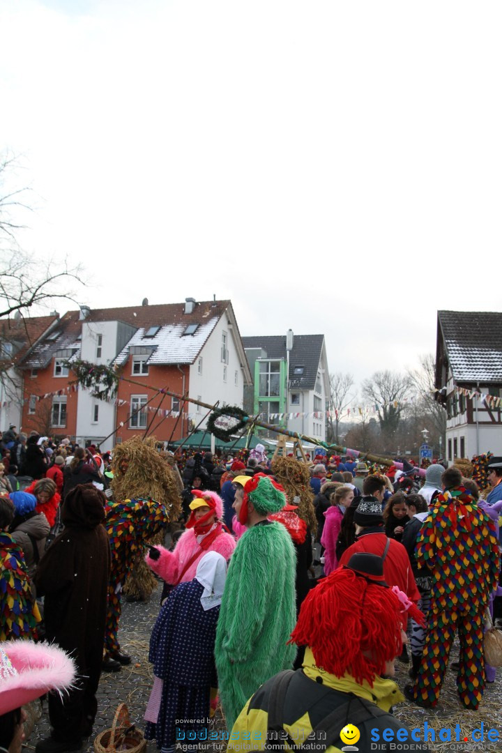 Narrenbaumumzug der Poppele-Zunft: Singen am Bodensee, 07.02.2013