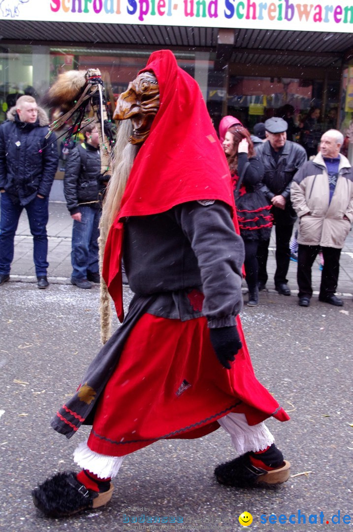 Narrenbaumumzug der Poppele-Zunft: Singen am Bodensee, 07.02.2013