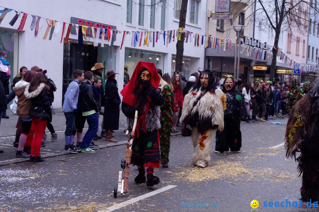 Narrenbaumumzug der Poppele-Zunft: Singen am Bodensee, 07.02.2013