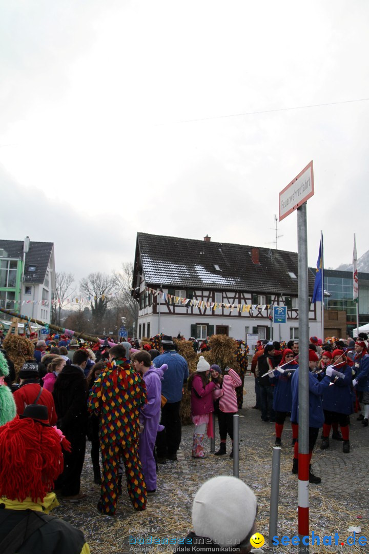 Narrenbaumumzug der Poppele-Zunft: Singen am Bodensee, 07.02.2013