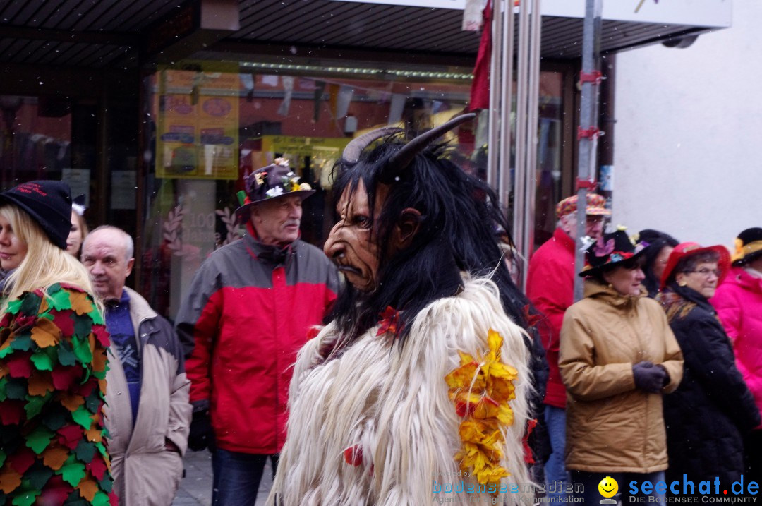 Narrenbaumumzug der Poppele-Zunft: Singen am Bodensee, 07.02.2013