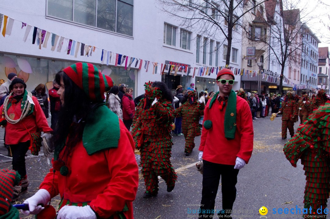 Narrenbaumumzug der Poppele-Zunft: Singen am Bodensee, 07.02.2013