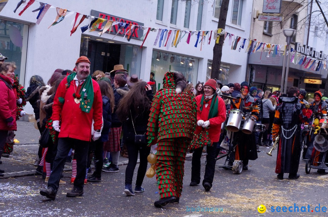 Narrenbaumumzug der Poppele-Zunft: Singen am Bodensee, 07.02.2013