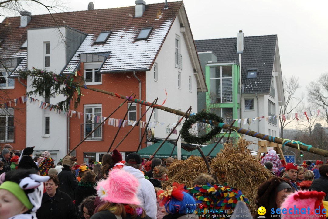 Narrenbaumumzug der Poppele-Zunft: Singen am Bodensee, 07.02.2013