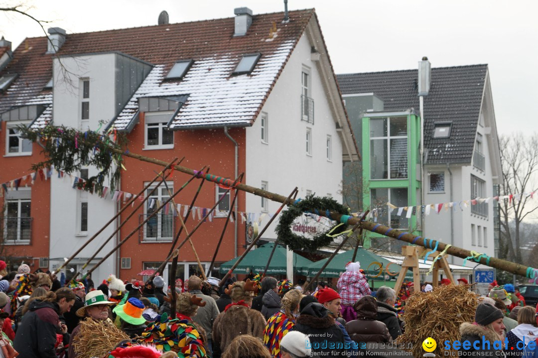 Narrenbaumumzug der Poppele-Zunft: Singen am Bodensee, 07.02.2013