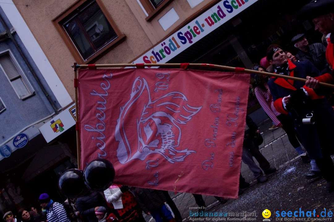 Narrenbaumumzug der Poppele-Zunft: Singen am Bodensee, 07.02.2013