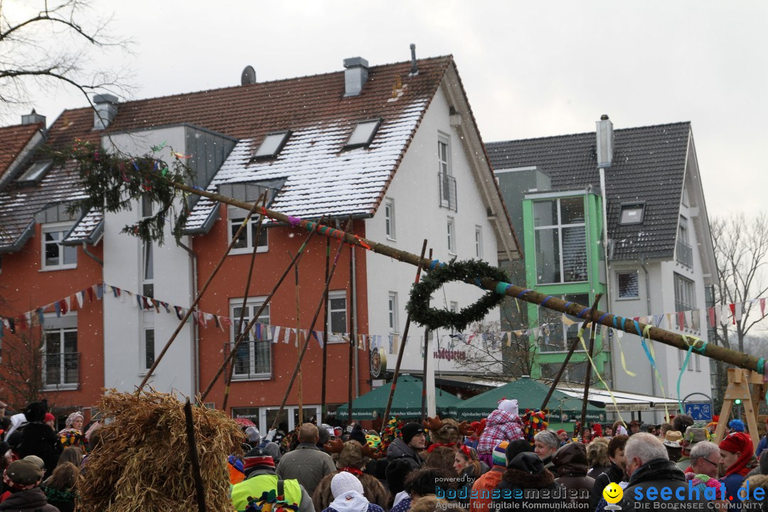 Narrenbaumumzug der Poppele-Zunft: Singen am Bodensee, 07.02.2013