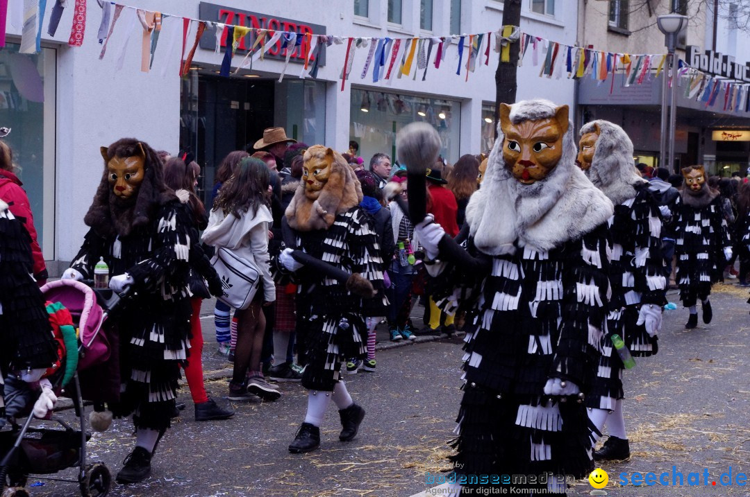 Narrenbaumumzug der Poppele-Zunft: Singen am Bodensee, 07.02.2013