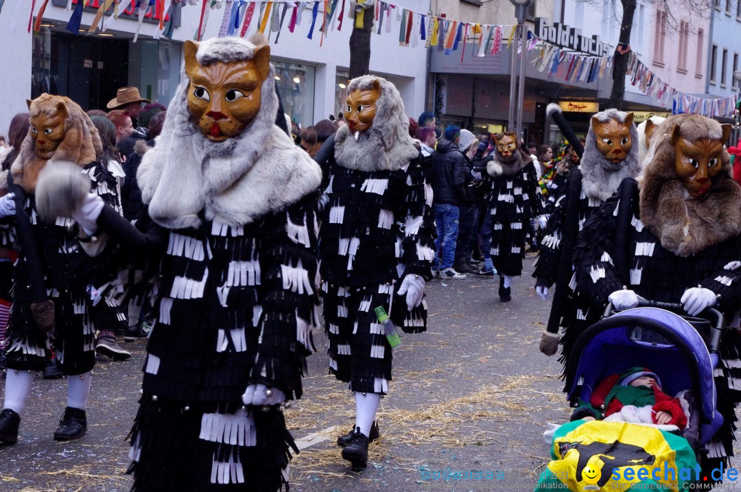 Narrenbaumumzug der Poppele-Zunft: Singen am Bodensee, 07.02.2013