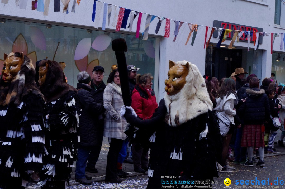 Narrenbaumumzug der Poppele-Zunft: Singen am Bodensee, 07.02.2013