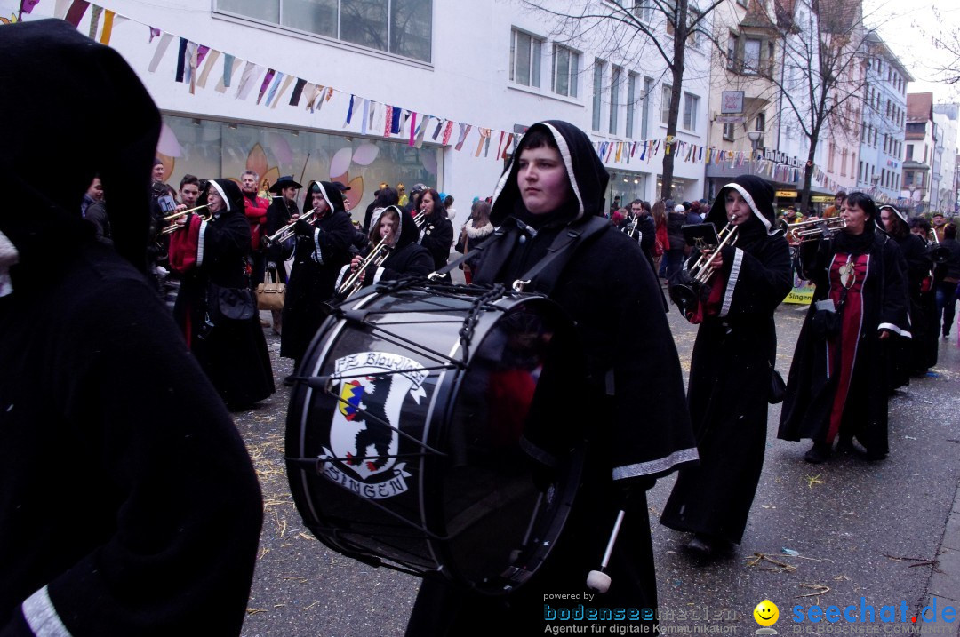 Narrenbaumumzug der Poppele-Zunft: Singen am Bodensee, 07.02.2013