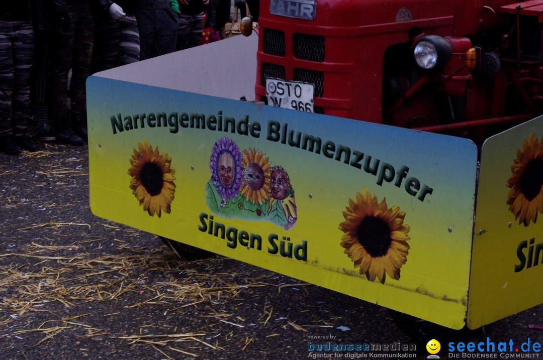 Narrenbaumumzug der Poppele-Zunft: Singen am Bodensee, 07.02.2013