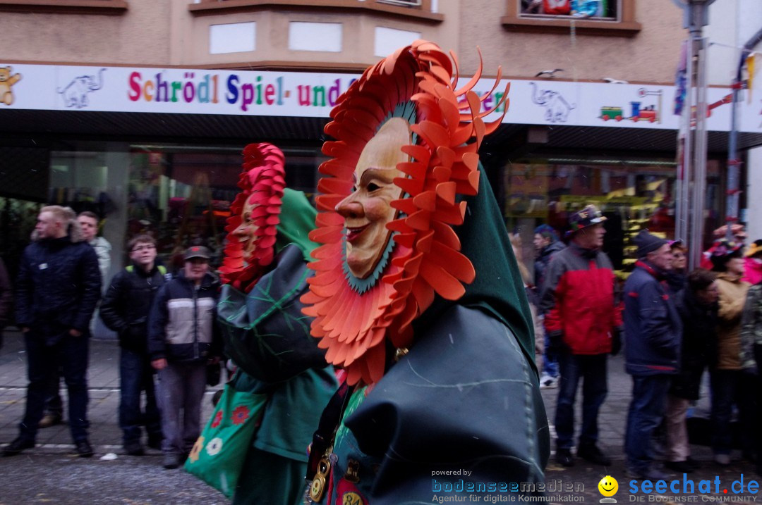 Narrenbaumumzug der Poppele-Zunft: Singen am Bodensee, 07.02.2013