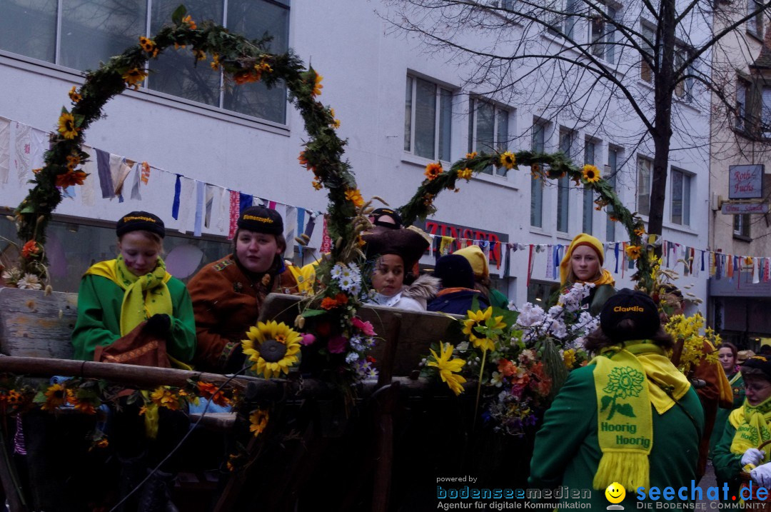 Narrenbaumumzug der Poppele-Zunft: Singen am Bodensee, 07.02.2013