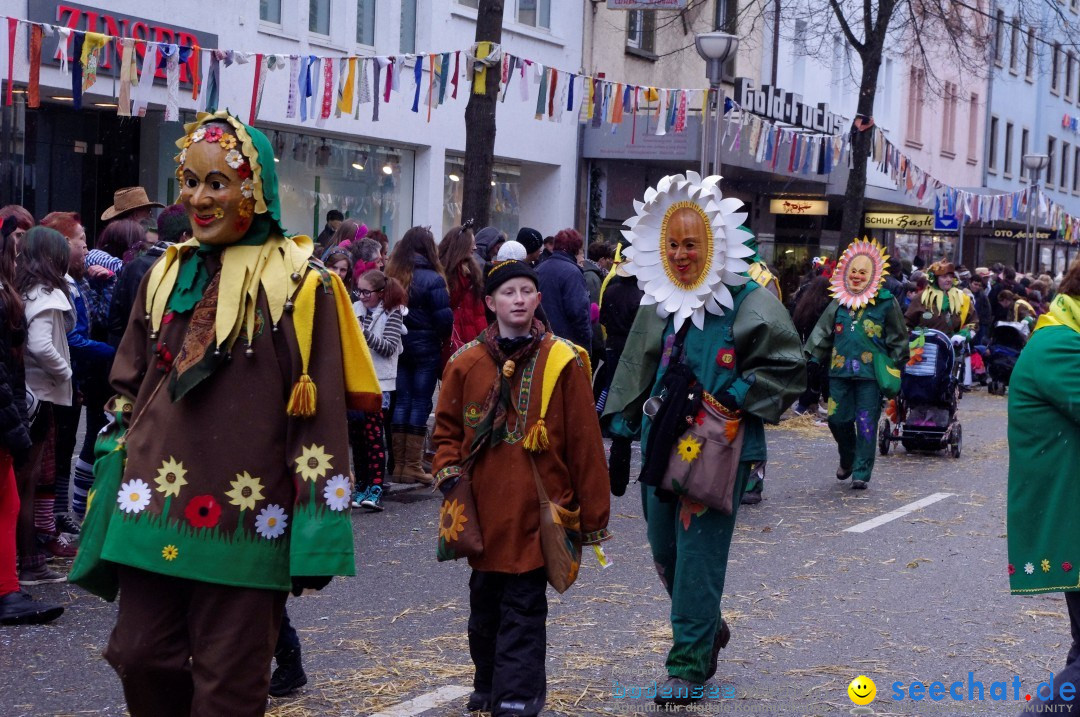 Narrenbaumumzug der Poppele-Zunft: Singen am Bodensee, 07.02.2013