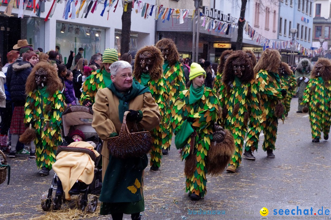 Narrenbaumumzug der Poppele-Zunft: Singen am Bodensee, 07.02.2013