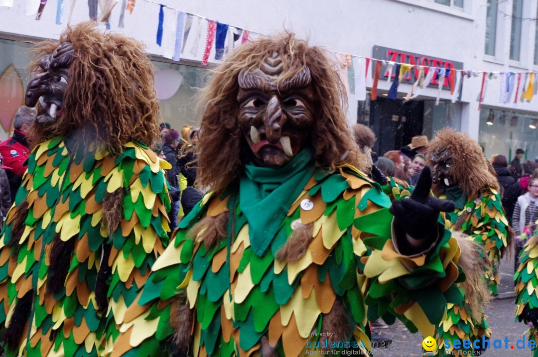 Narrenbaumumzug der Poppele-Zunft: Singen am Bodensee, 07.02.2013