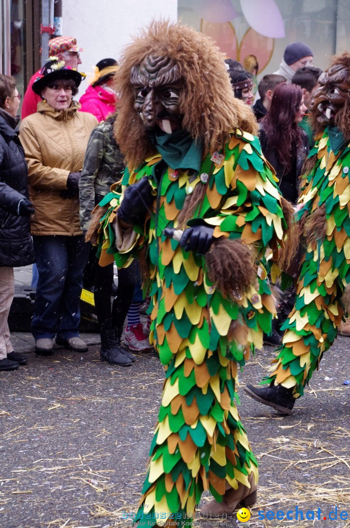 Narrenbaumumzug der Poppele-Zunft: Singen am Bodensee, 07.02.2013