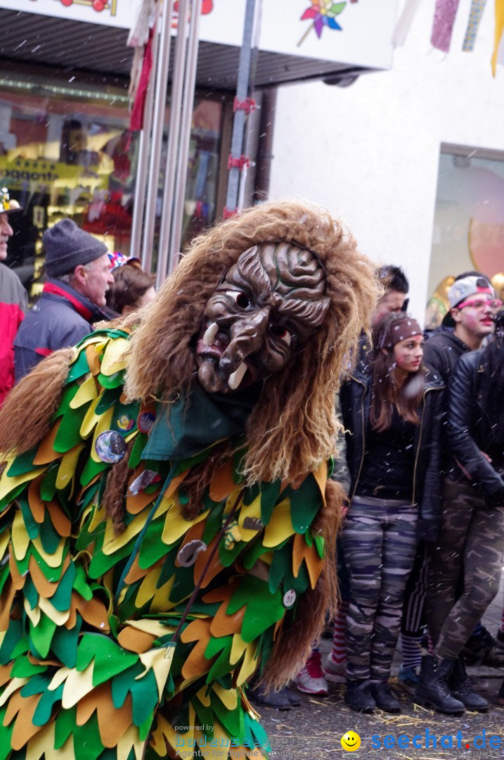 Narrenbaumumzug der Poppele-Zunft: Singen am Bodensee, 07.02.2013