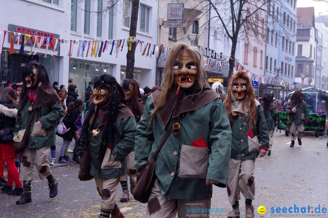 Narrenbaumumzug der Poppele-Zunft: Singen am Bodensee, 07.02.2013