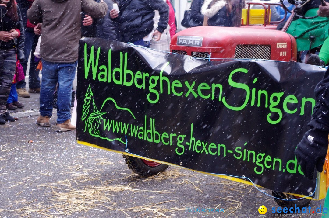 Narrenbaumumzug der Poppele-Zunft: Singen am Bodensee, 07.02.2013